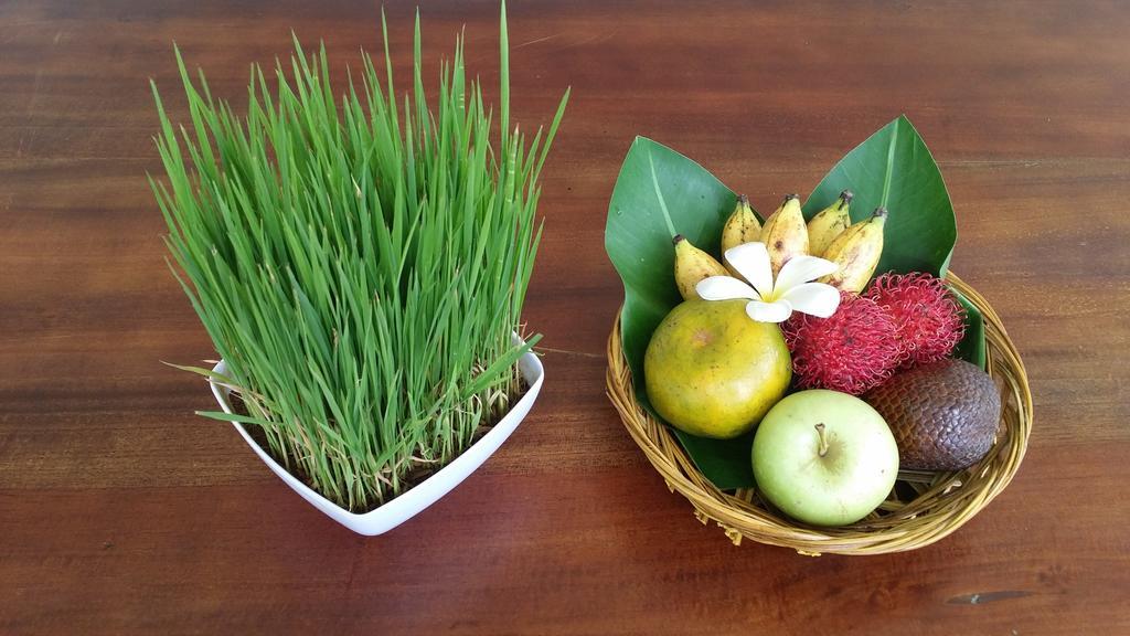 Palm Garden Bali Hotel Nusa Dua  Luaran gambar